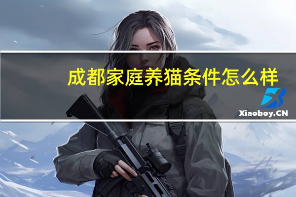 成都家庭养猫条件怎么样