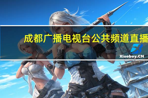 成都广播电视台公共频道直播（邓涛-辽源广播电视台电视公共频道总监简介）