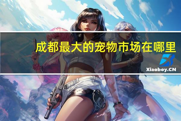 成都最大的宠物市场在哪里