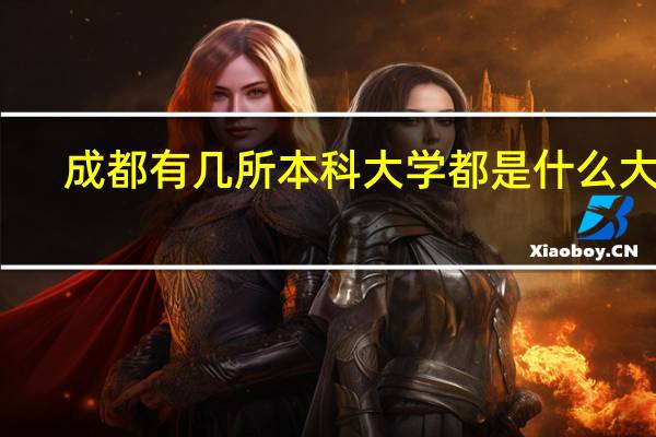 成都有几所本科大学都是什么大学