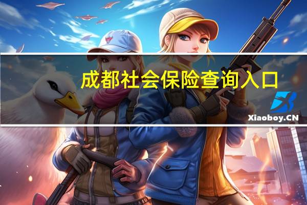 成都社会保险查询入口(成都社会保险查询)