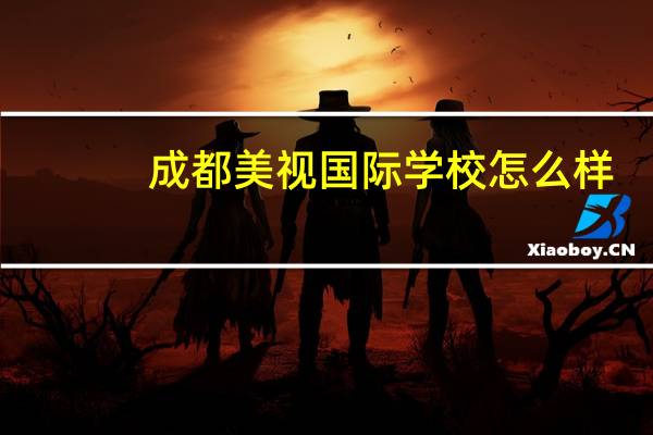成都美视国际学校怎么样