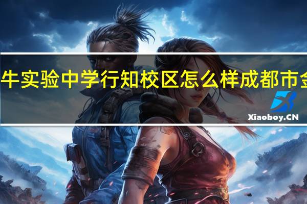 成都金牛实验中学行知校区怎么样 成都市金牛实验中学