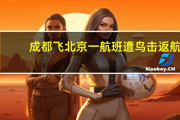 成都飞北京一航班遭鸟击返航