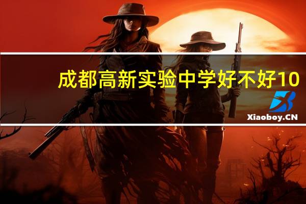 成都高新实验中学好不好10