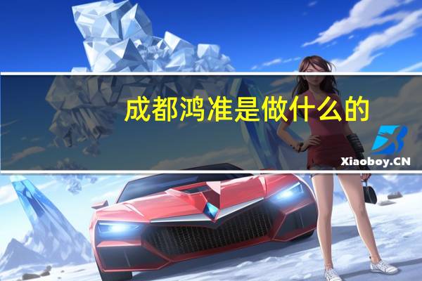 成都鸿准是做什么的