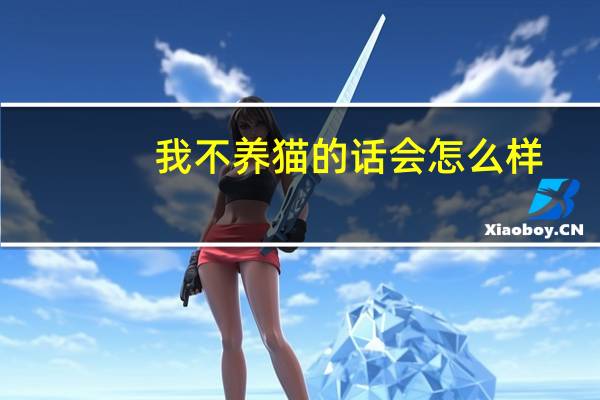 我不养猫的话会怎么样