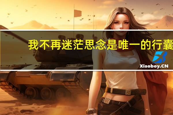 我不再迷茫思念是唯一的行囊(我不再)