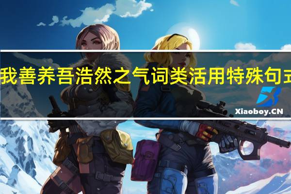 我善养吾浩然之气词类活用特殊句式整理