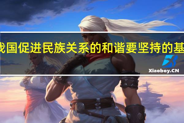 我国促进民族关系的和谐要坚持的基本原则