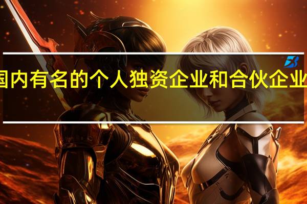 我国国内有名的个人独资企业和合伙企业主要有哪些