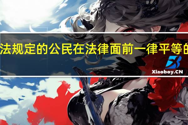 我国宪法规定的公民在法律面前一律平等的原则的含义