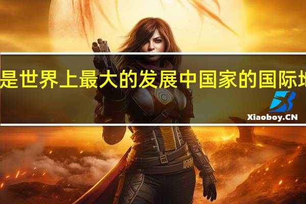 我国是世界上最大的发展中国家的国际地位没有变（我国是世界最大发展中国家的国际地位没有变）