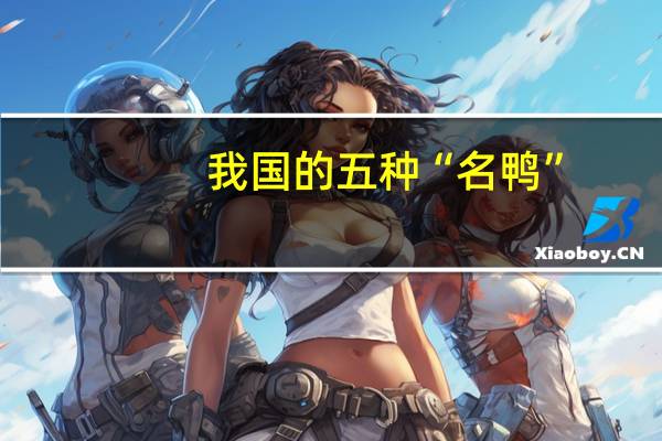我国的五种“名鸭”，哪一种人外国人很喜欢吃