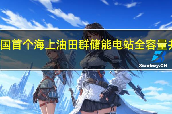 我国首个海上油田群储能电站全容量并网投用