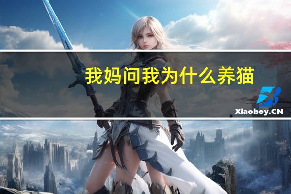 我妈问我为什么养猫