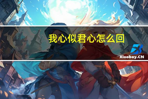 我心似君心怎么回