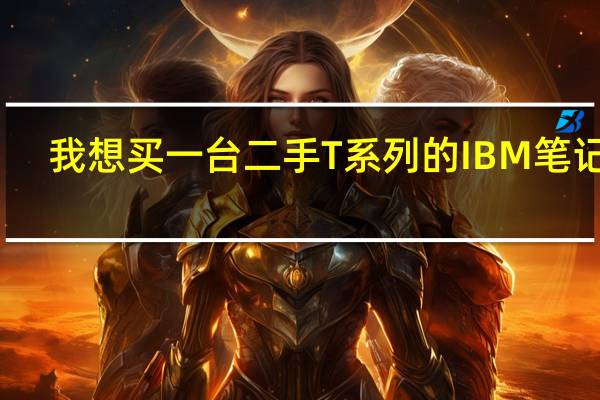 我想买一台二手T系列的IBM笔记本，不知道哪一款比较好点