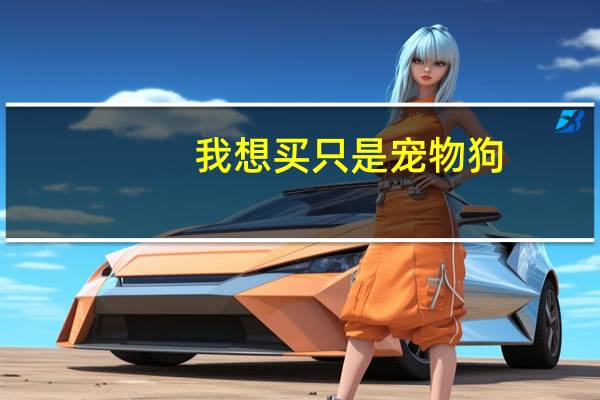我想买只是宠物狗