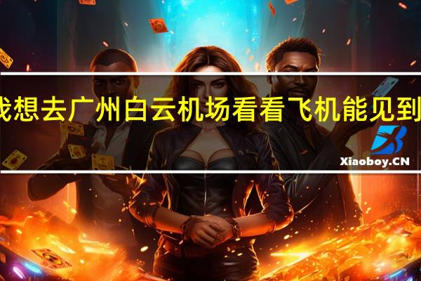 我想去广州白云机场看看飞机能见到飞机吗