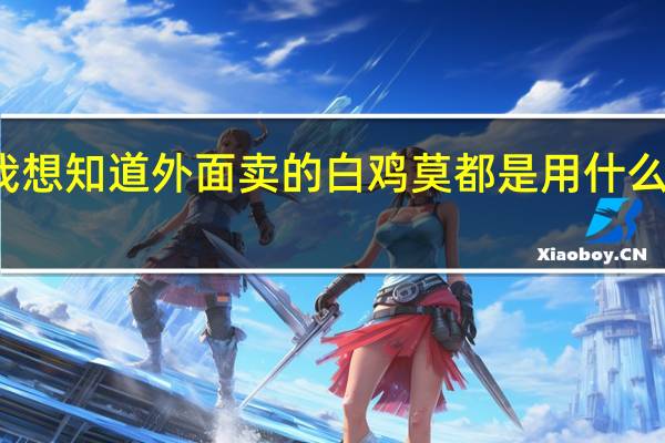 我想知道外面卖的白鸡莫都是用什么肉做的