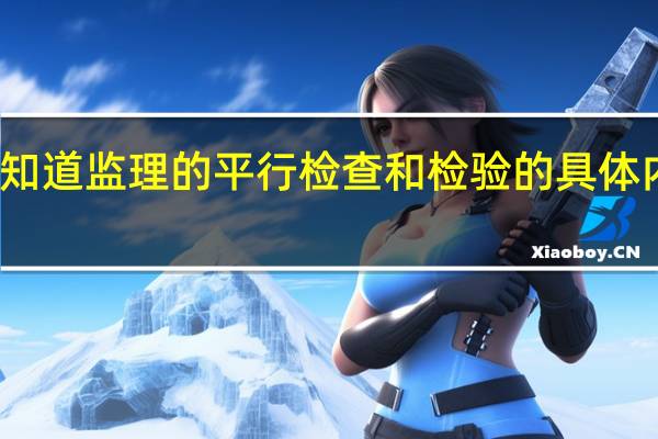 我想知道监理的平行检查和检验的具体内容是什么