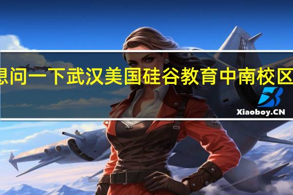 我想问一下武汉美国硅谷教育中南校区值得读吗