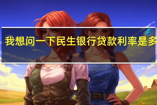 我想问一下民生银行贷款利率是多少啊（有人知道吗）