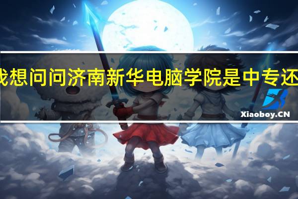 我想问问济南新华电脑学院是中专还是高职