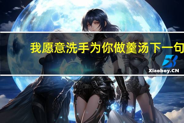 我愿意洗手为你做羹汤下一句