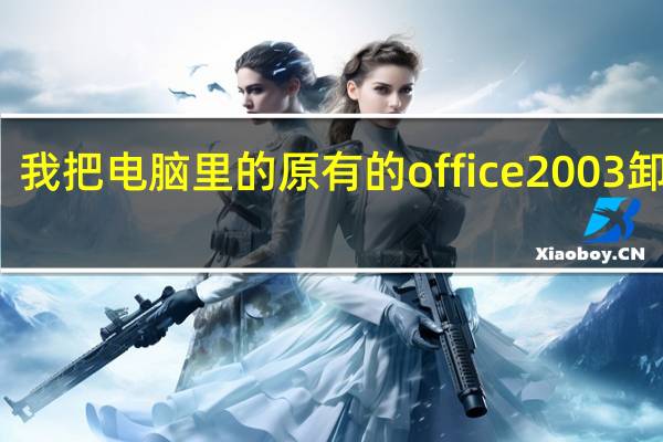 我把电脑里的原有的office2003卸载了,怎样重新安装说详细点 microsoftoffice2003