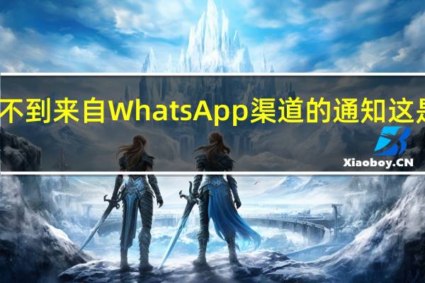 我收不到来自 WhatsApp 渠道的通知这是怎么回事