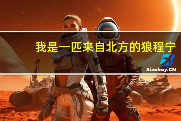 我是一匹来自北方的狼程宁(我是一匹来自北方的狼)