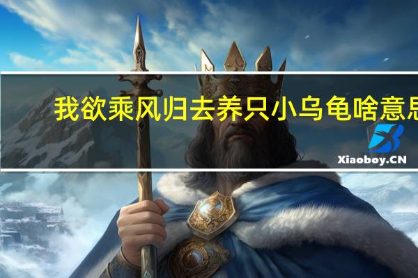我欲乘风归去养只小乌龟啥意思