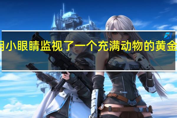 我用小眼睛监视了一个充满动物的黄金海岸豪宅