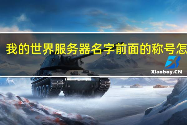 我的世界服务器名字前面的称号怎么搞（我的世界服务器称号指令）