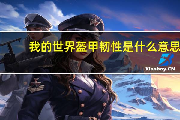 我的世界盔甲韧性是什么意思（我的世界盔甲韧性）