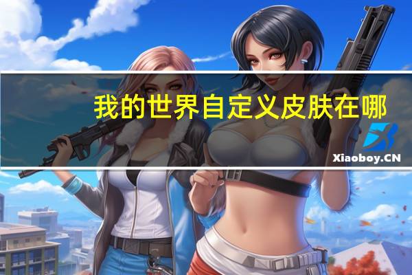 我的世界自定义皮肤在哪（我的世界自定义皮肤）