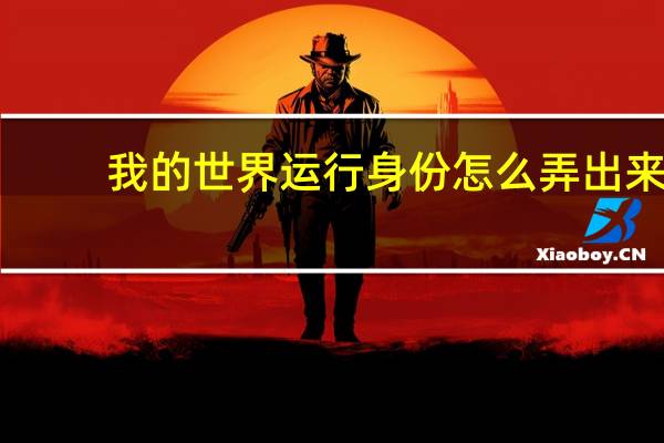 我的世界运行身份怎么弄出来(我的世界运行身份怎么弄)