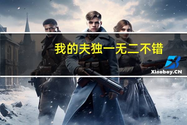 我的夫独一无二不错（我的夫独一无二）