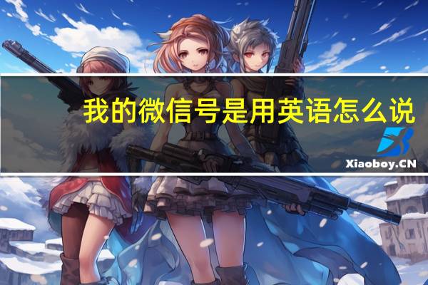 我的微信号是用英语怎么说（我的微信好友是神仙）