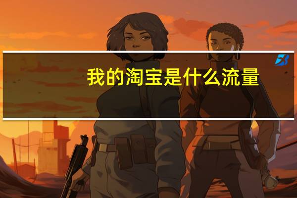 我的淘宝是什么流量（我的淘宝）