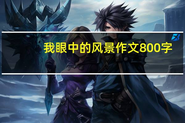 我眼中的风景作文800字(在我眼中的风景)