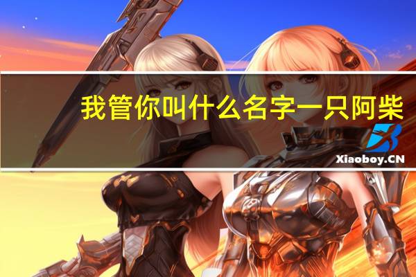 我管你叫什么名字一只阿柴