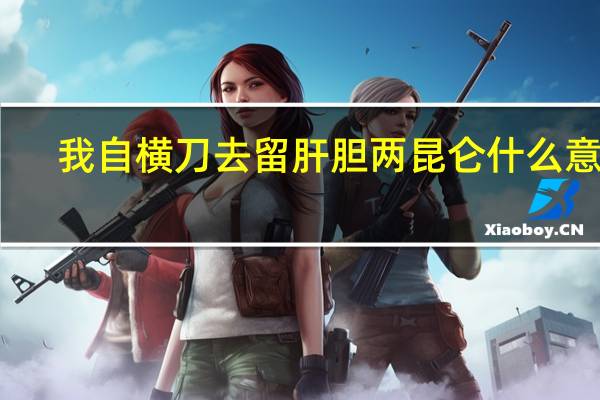 我自横刀去留肝胆两昆仑什么意思