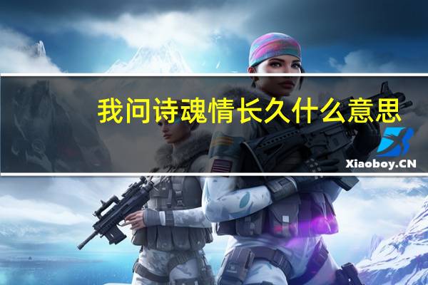 我问诗魂情长久什么意思