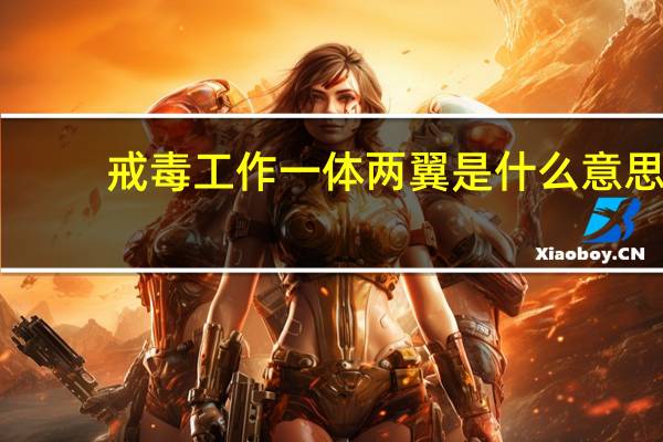 戒毒工作一体两翼是什么意思(一体两翼是什么意思)