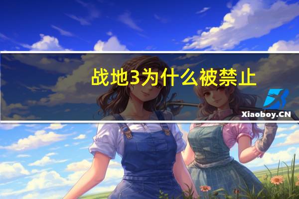 战地3为什么被禁止（战地3卡死）