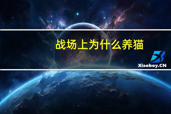 战场上为什么养猫
