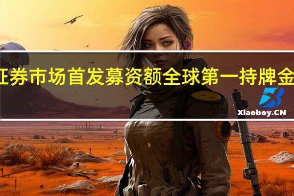 截至2022年底上海证券市场首发募资额全球第一持牌金融机构总数增加到1736家